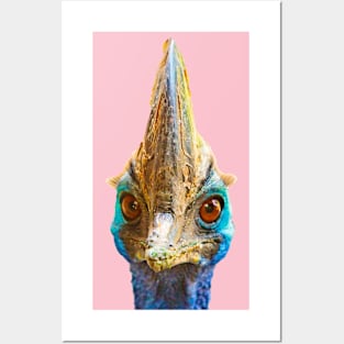 Cassowary looking at You Posters and Art